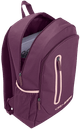 ameixa-01__.png