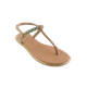 2__-12-.png