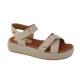2__-27-.png