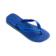 2__-35-.png