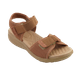 2__-28-.png