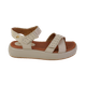 3__-23-.png