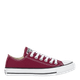 265313-removebg-preview__.png