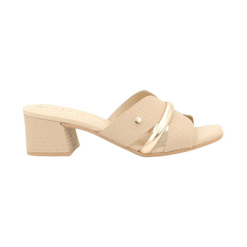 2__-13-.png