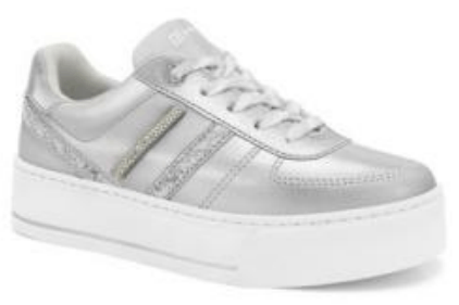 2497204 np metal prata__.png