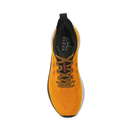 image-removebg-preview (14)__(11).png