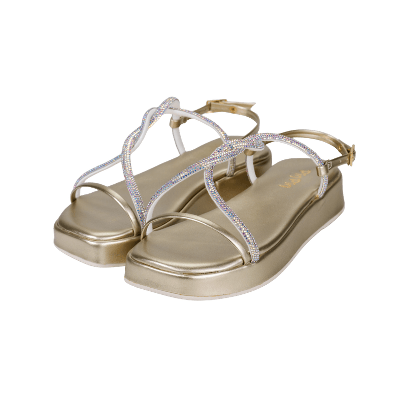 pinpin - 4115 (6)__.png